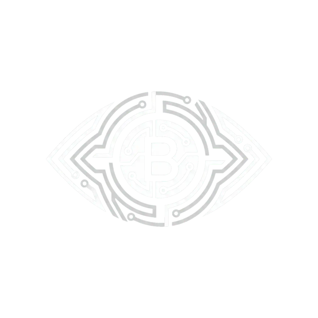 晚上睡不着偷偷看B站入口 - 情报机构标识